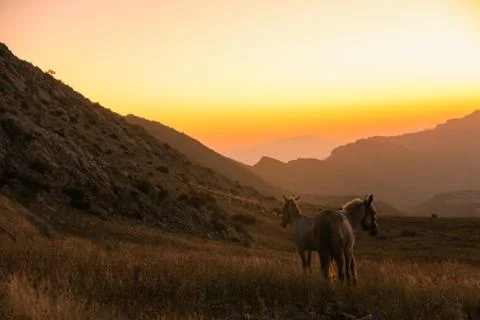 Sunset Stock Photos