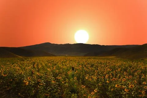 Sunset Stock Photos