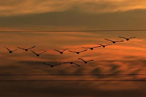 Sunset Stock Photos