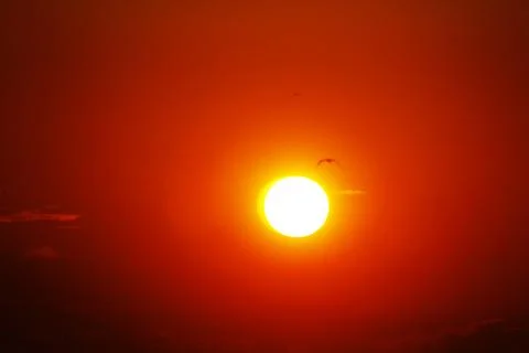 Sunset Stock Photos