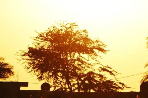 Sunset Stock Photos