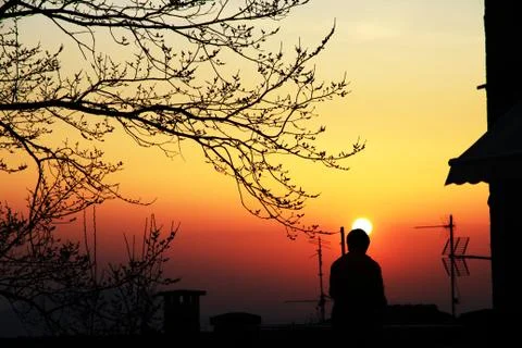 Sunset Stock Photos