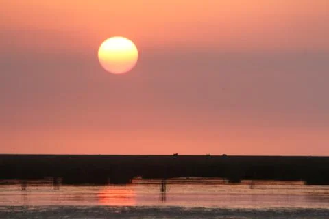 Sunset Stock Photos