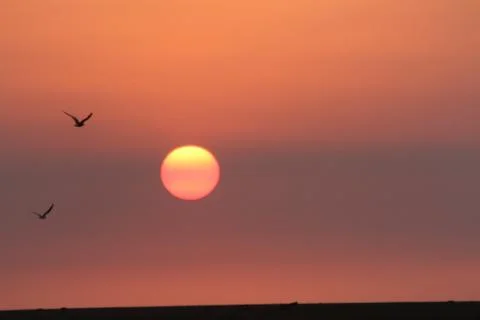 Sunset Stock Photos