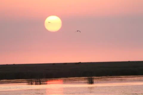 Sunset Stock Photos