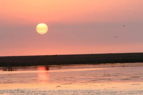 Sunset Stock Photos