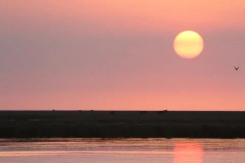 Sunset Stock Photos
