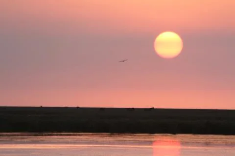 Sunset Stock Photos