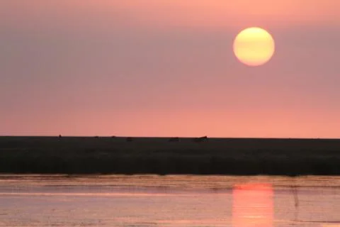 Sunset Stock Photos