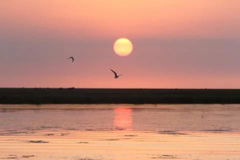 Sunset Stock Photos