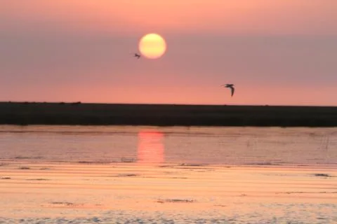 Sunset Stock Photos