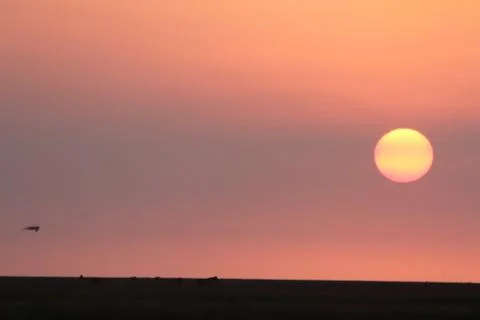 Sunset Stock Photos