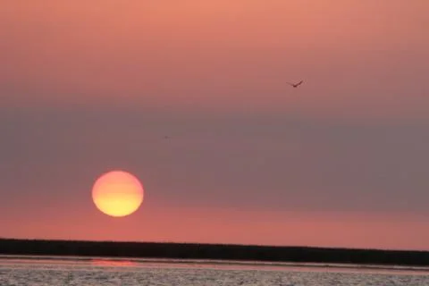 Sunset Stock Photos