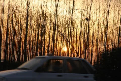 Sunset Stock Photos