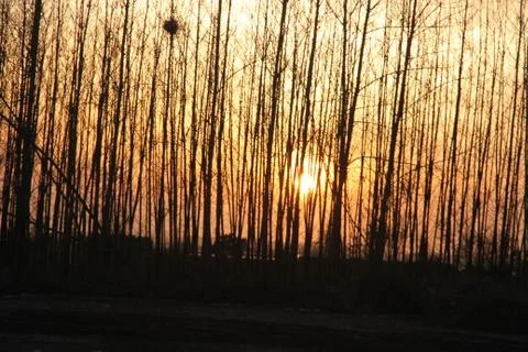 Sunset Stock Photos