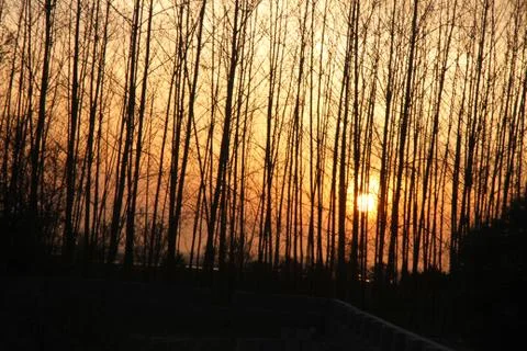 Sunset Stock Photos