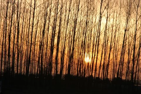 Sunset Stock Photos