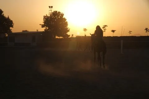 Sunset Stock Photos
