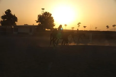 Sunset Stock Photos