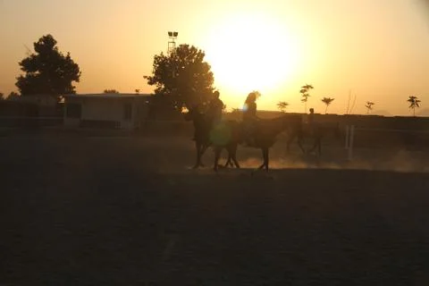 Sunset Stock Photos