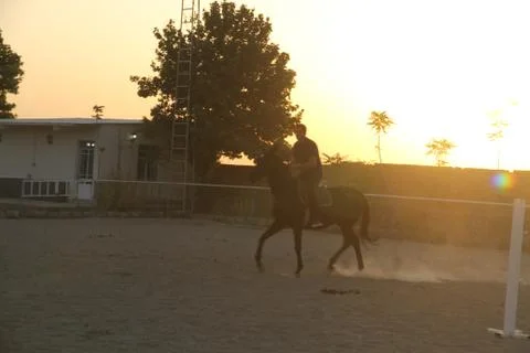 Sunset Stock Photos