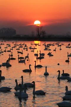 Sunset Stock Photos