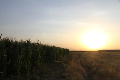 Sunset Stock Photos
