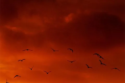 Sunset Stock Photos