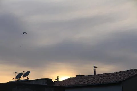 Sunset Stock Photos