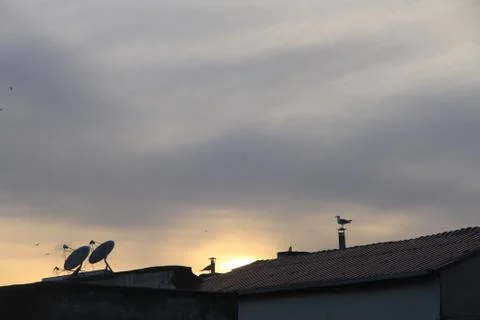Sunset Stock Photos