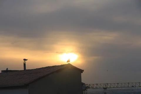 Sunset Stock Photos