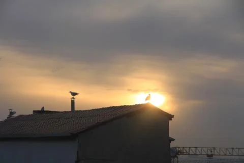 Sunset Stock Photos