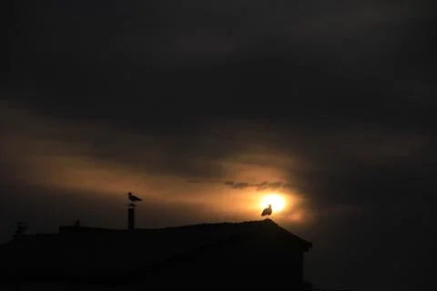 Sunset Stock Photos