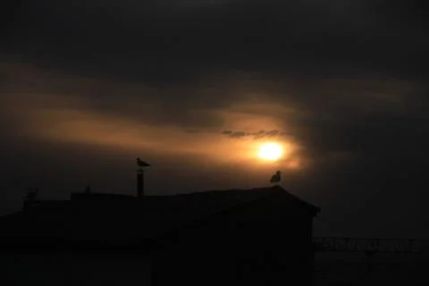 Sunset Stock Photos
