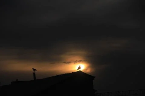 Sunset Stock Photos
