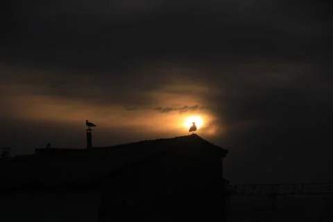 Sunset Stock Photos