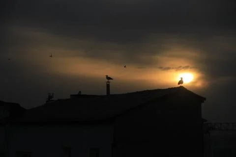 Sunset Stock Photos