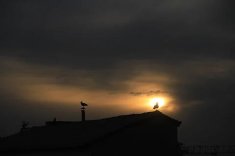 Sunset Stock Photos