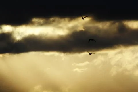 Sunset Stock Photos