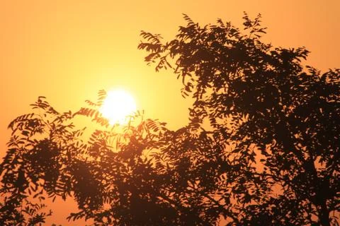 Sunset Stock Photos