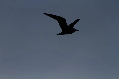 Sunset Stock Photos