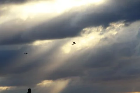 Sunset Stock Photos