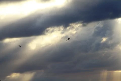 Sunset Stock Photos