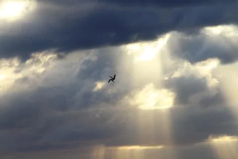 Sunset Stock Photos