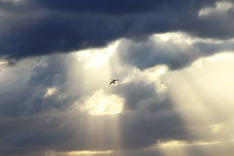 Sunset Stock Photos