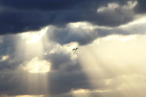 Sunset Stock Photos