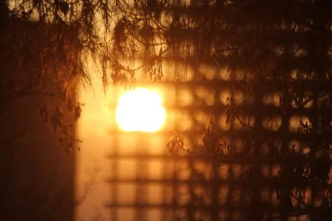 Sunset Stock Photos