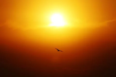 Sunset Stock Photos