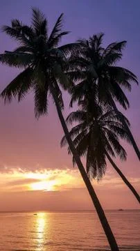 Sunset Stock Photos