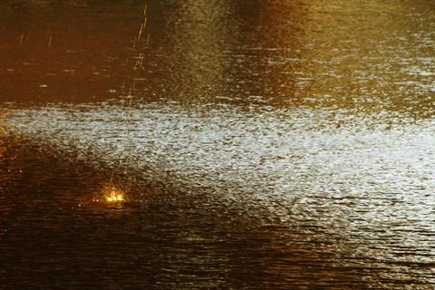 Sunset Stock Photos